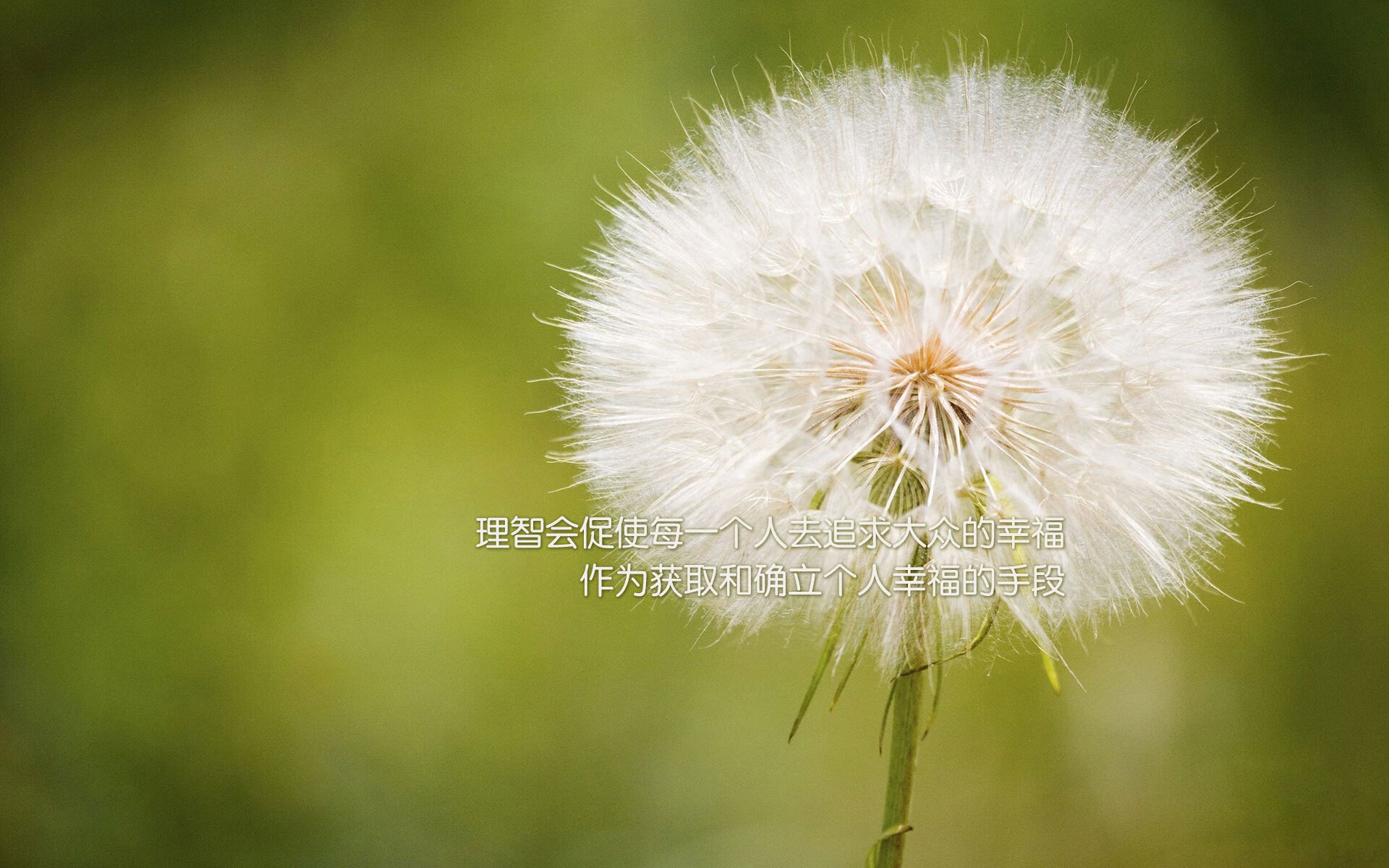 开云kaiyun-Dota 2 国际赛季迎来新变化，dota2国际邀请赛赛程