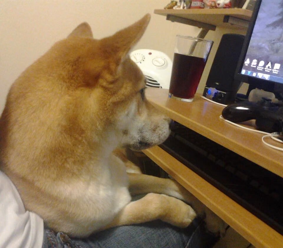 开云体育网页版-“最炫防守：联盟铁壁防线大揭秘”，铁壁符文怎么获取