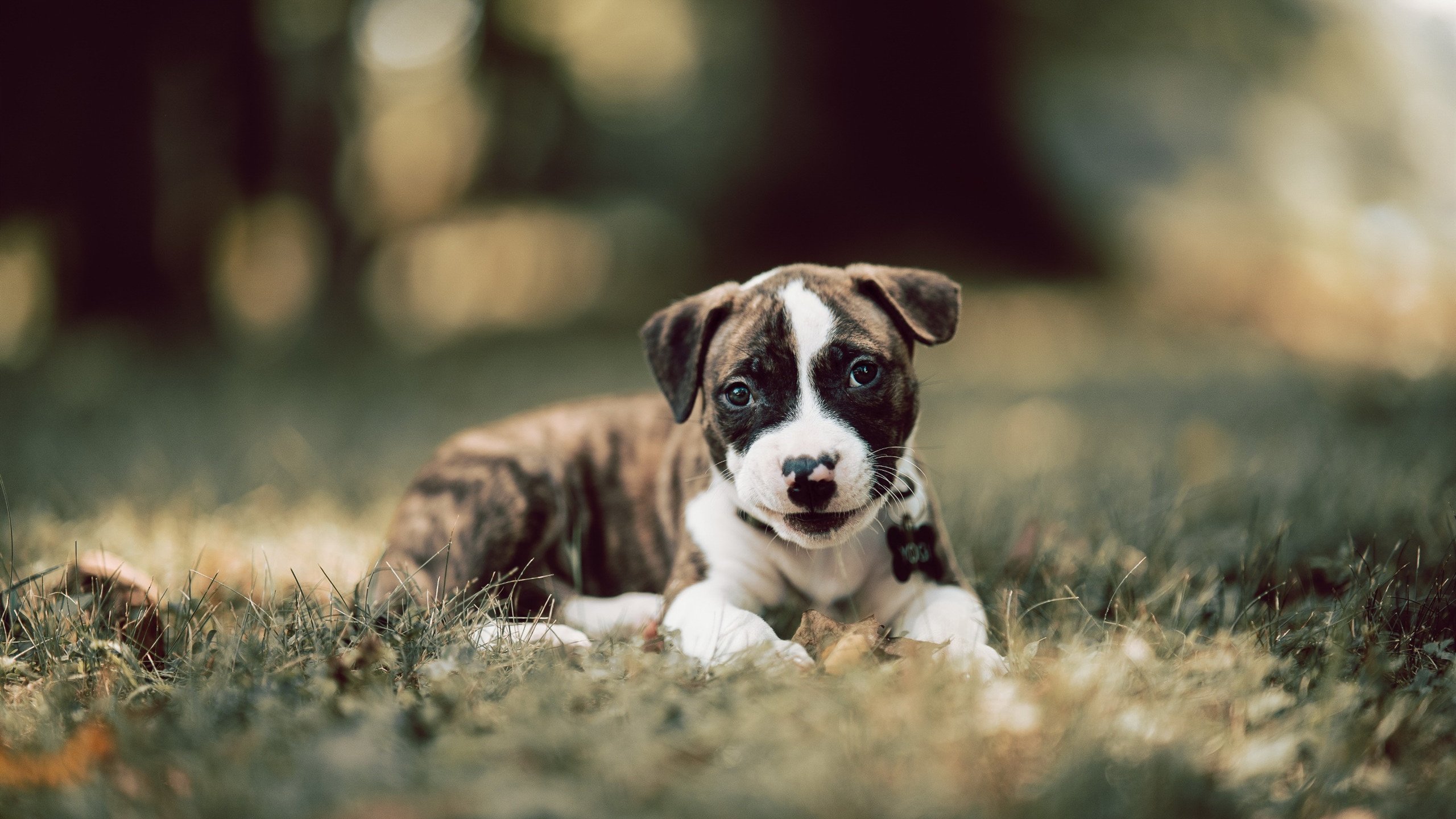 开云体育在线入口-【精准布局】高手如何利用角度赢得比赛？