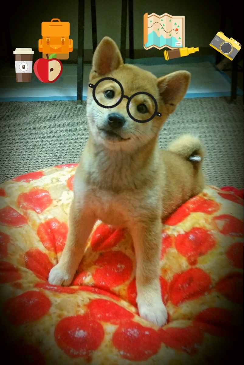 kaiyun官方入口登录-从没有放弃：一线运动员的拼搏精神，运动员坚韧不拔的精神