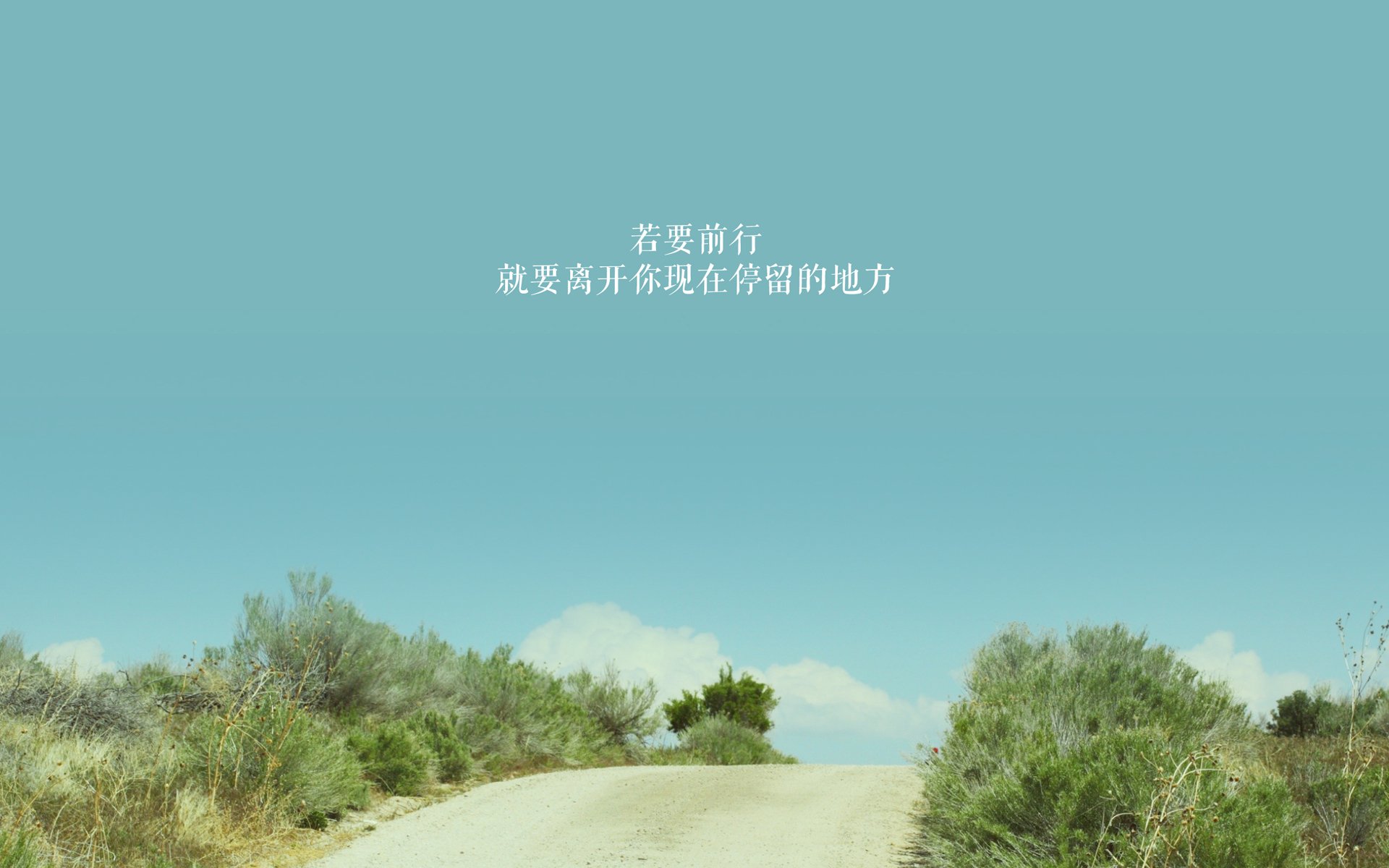 城市之光：代表城市的球队文化特色，何为城市之光